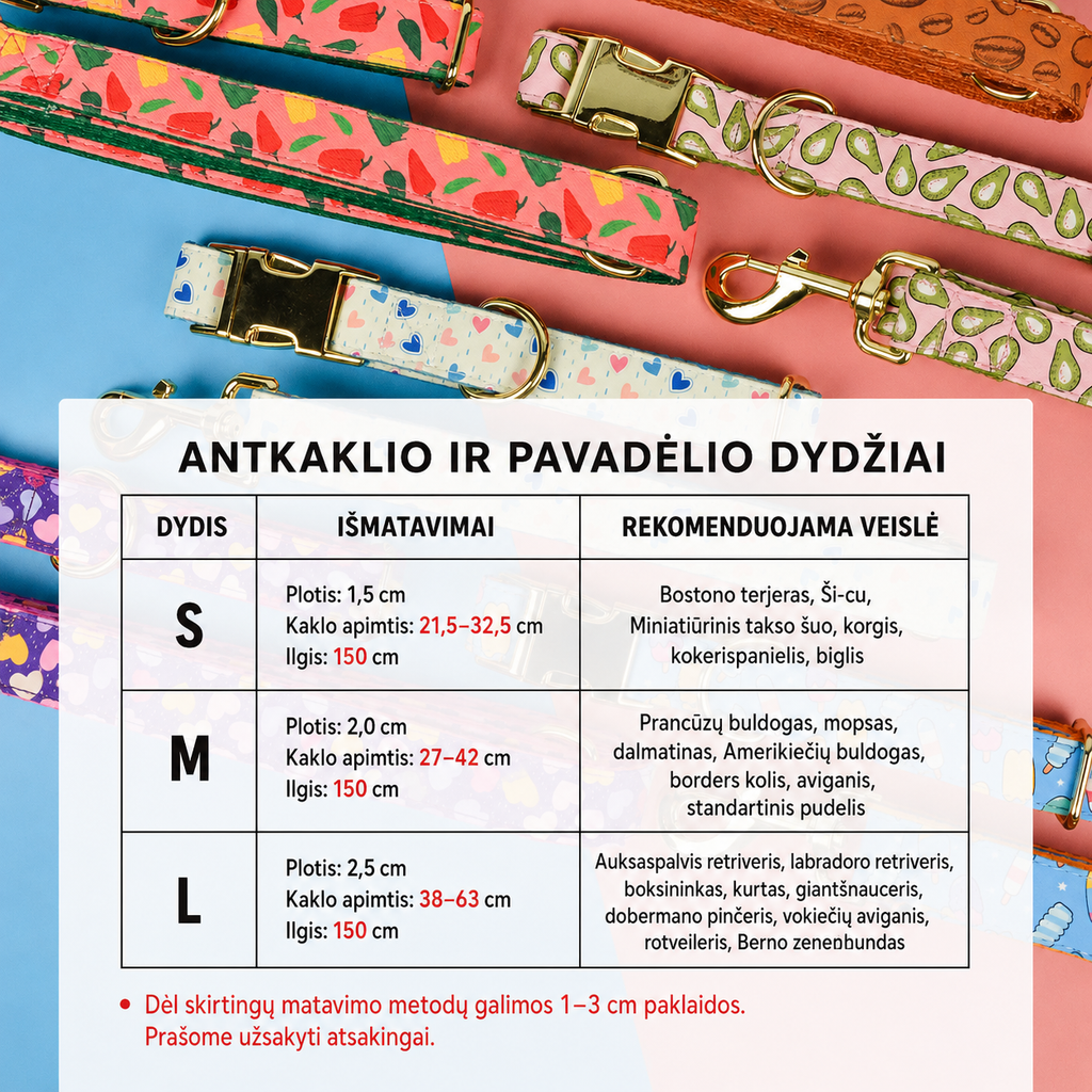 „Luxury Summer“ spalvingas antkaklio ir pavadėlio komplektas